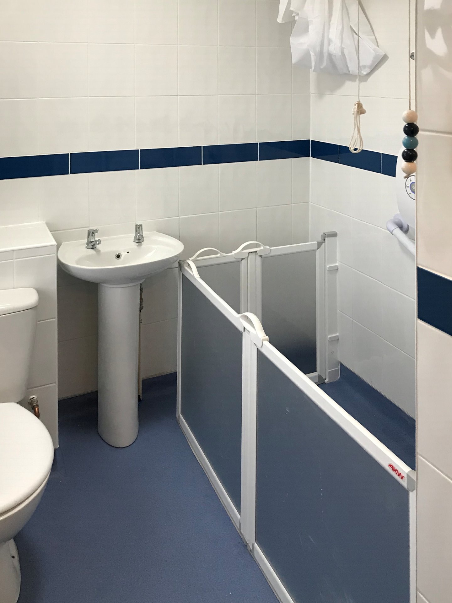 Adapted shower room completed, Barnstaple North Devon