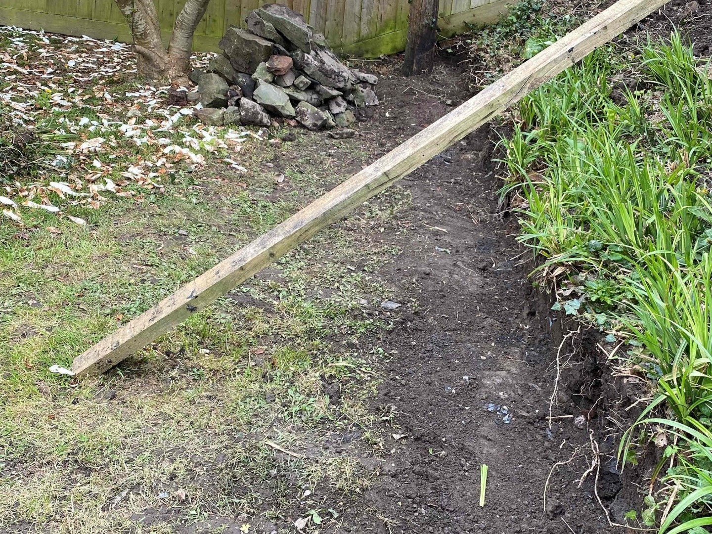 Patio Wall Path. Garden space gained by excavating bank. Barnstaple North Devon
